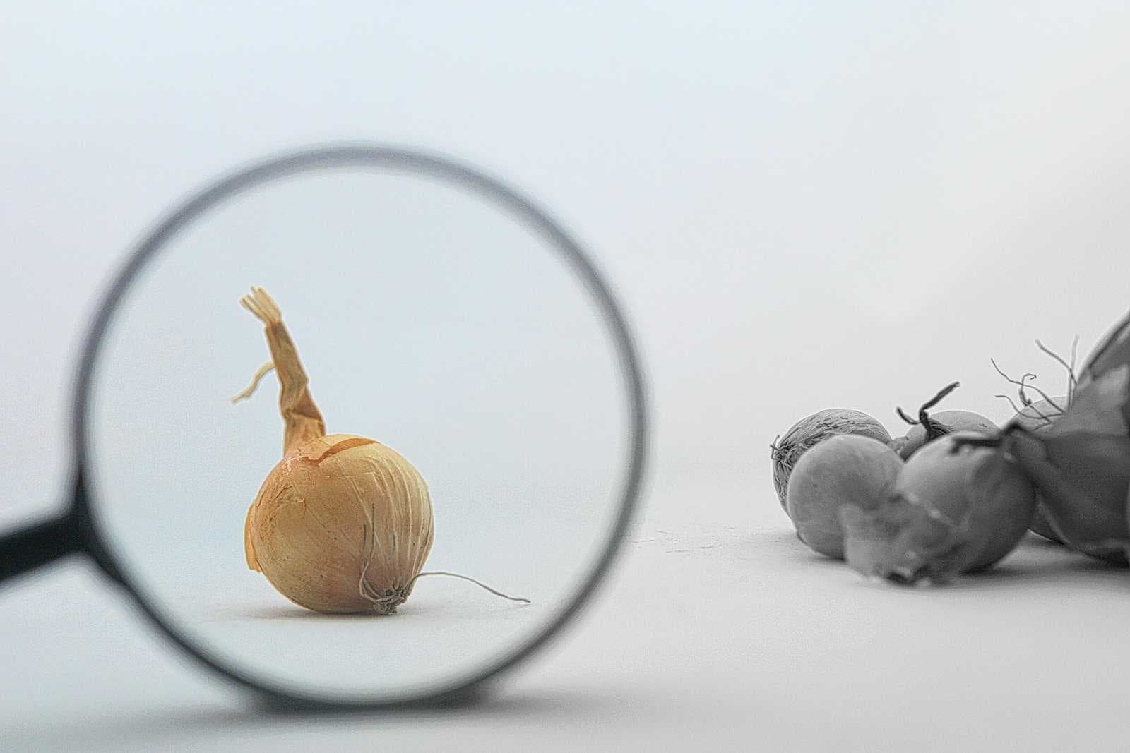 Assessing a unit test written after a bug is fixed