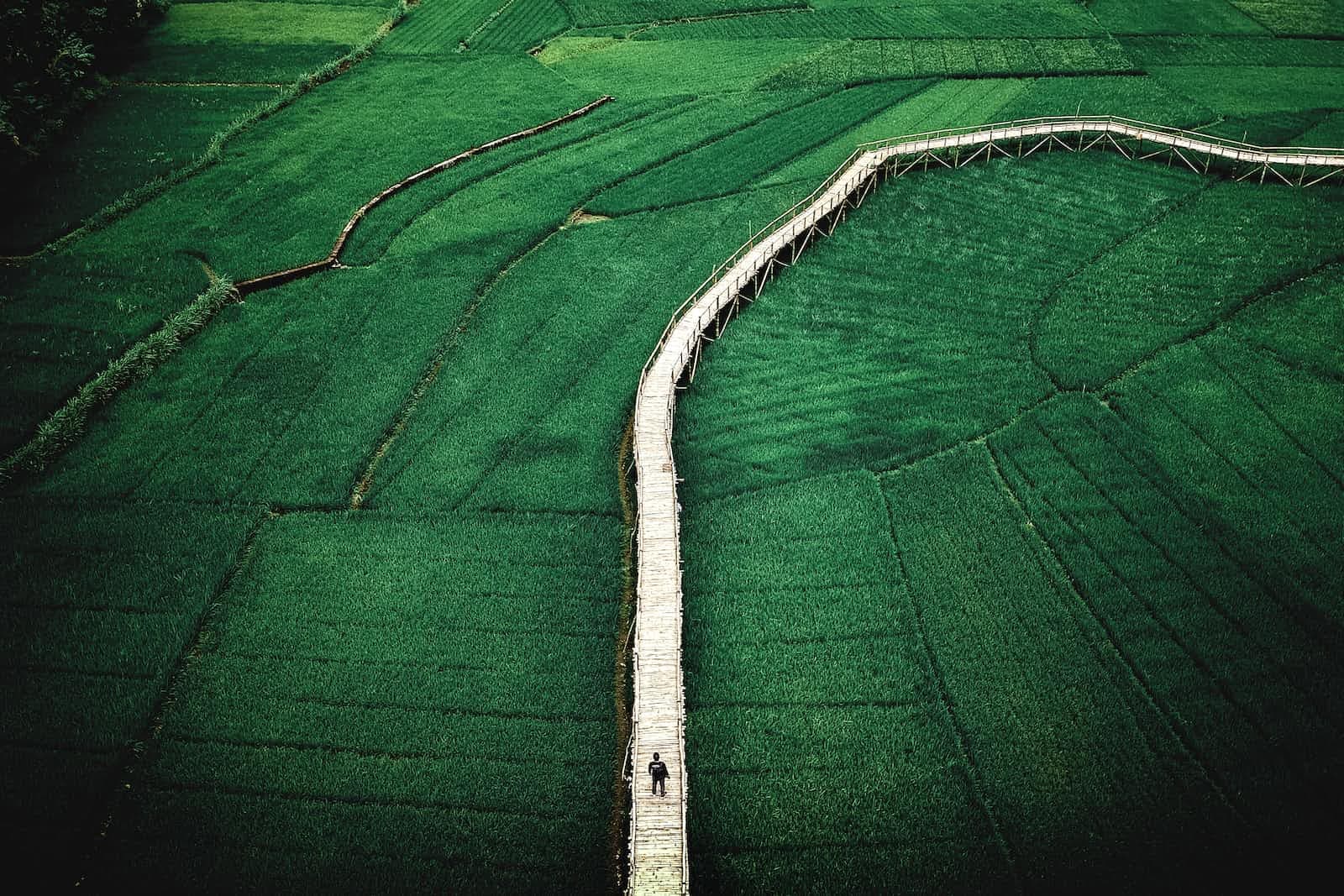 Worked example - Find the longest file path in your codebase