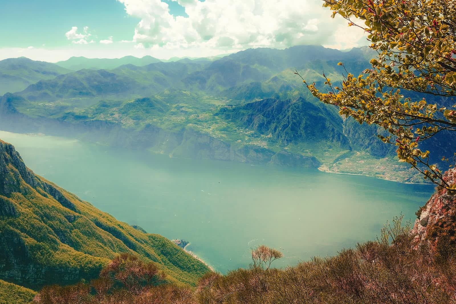 Adding a Razor view to a .NET 6 ASP.NET Core API project