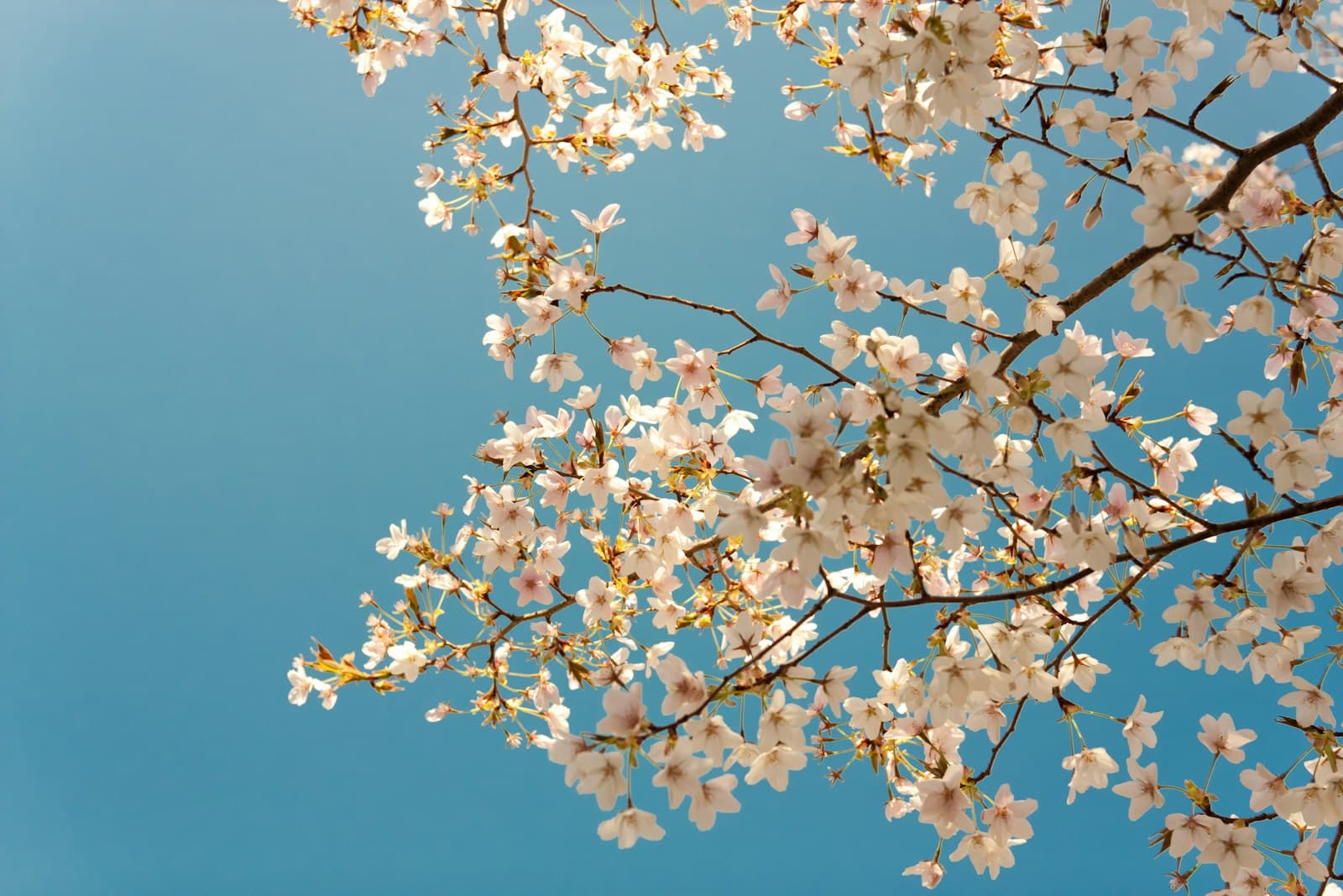 Months in review: March & April 2026
